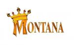 DISCOTHEQUE LE MONTANA (TROYES)